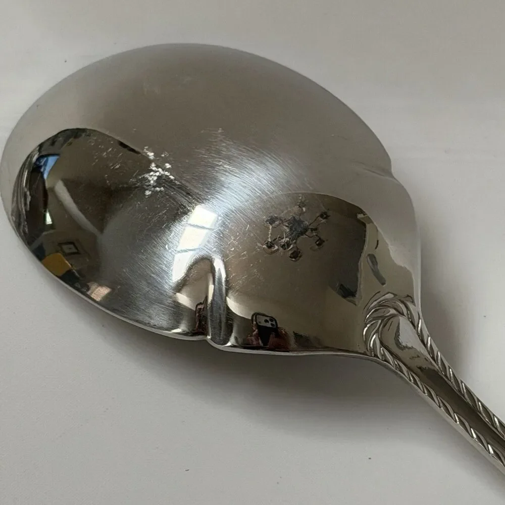 Oneida Belmont-Lyons Casserole Spoon 8 3/4” Stainless Glossy Rope Edge China